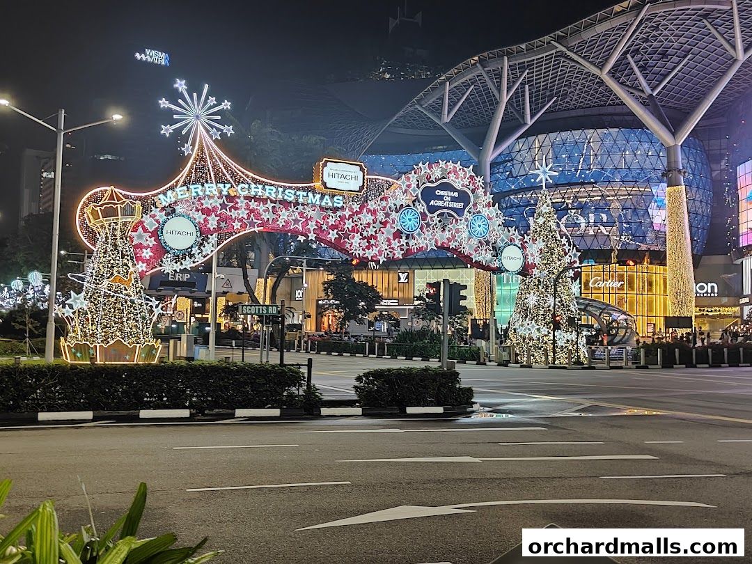 A street view at night with festive Christmas lights and decorations, including a large arch and trees.
