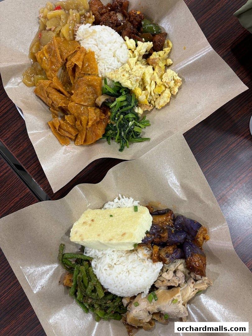 Two plates of rice with various side dishes, including vegetables, meat, and tofu.