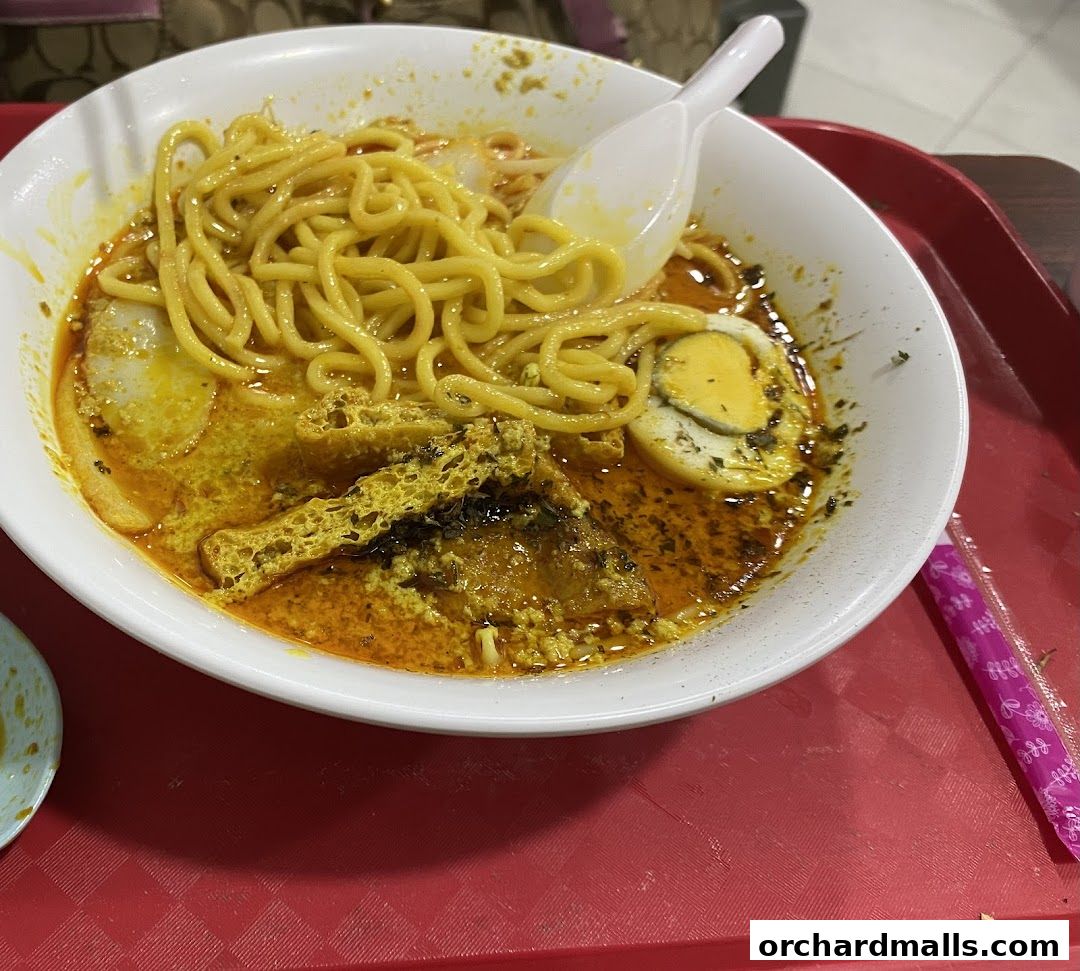 A close-up of a delicious bowl of curry noodles with egg and tofu.