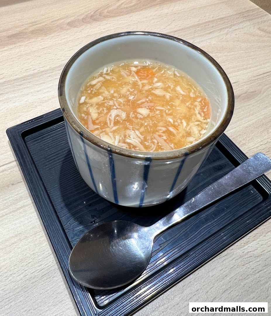 A close-up of a bowl of soup with shredded ingredients and a spoon on a tray.