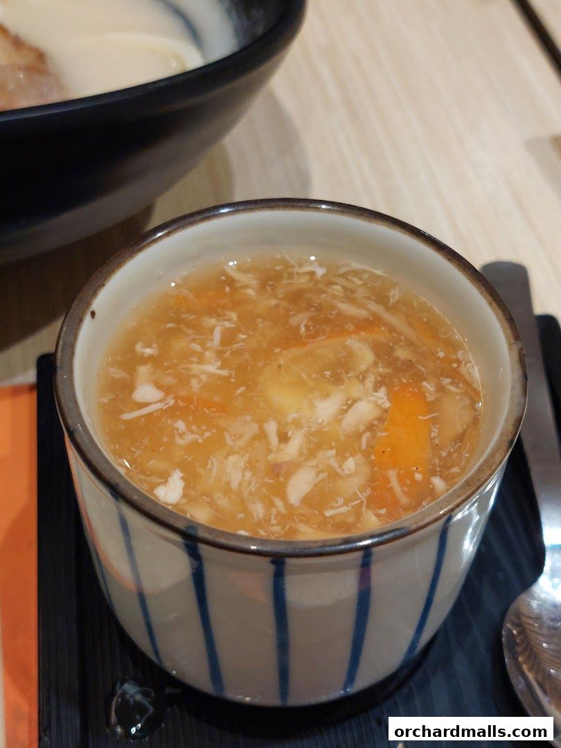 A close-up of a bowl of soup with shredded chicken and vegetables.
