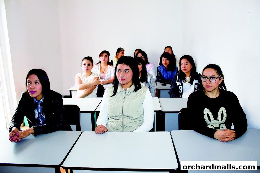 Students sitting at desks in a classroom setting, attentively listening.