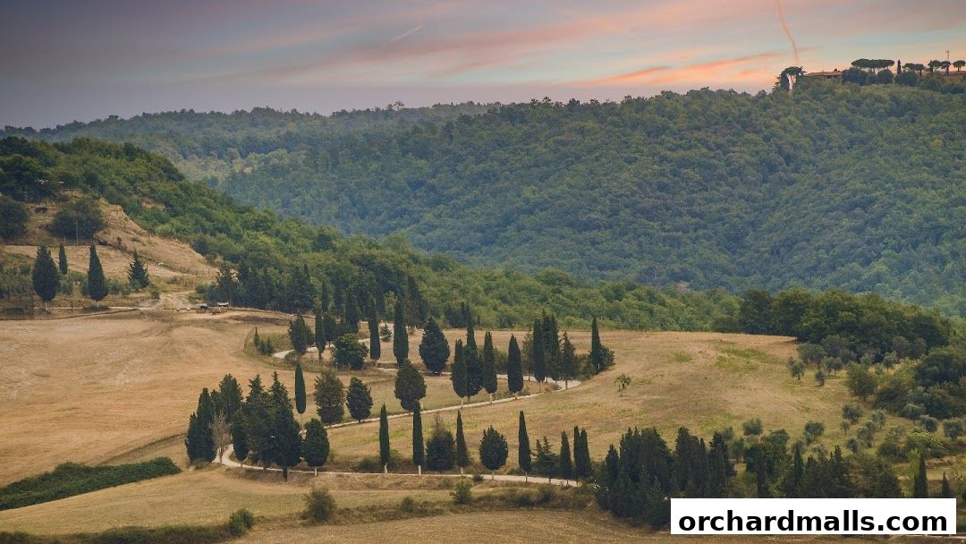 A scenic view of rolling hills with cypress trees and a winding road in Tuscany, Italy.