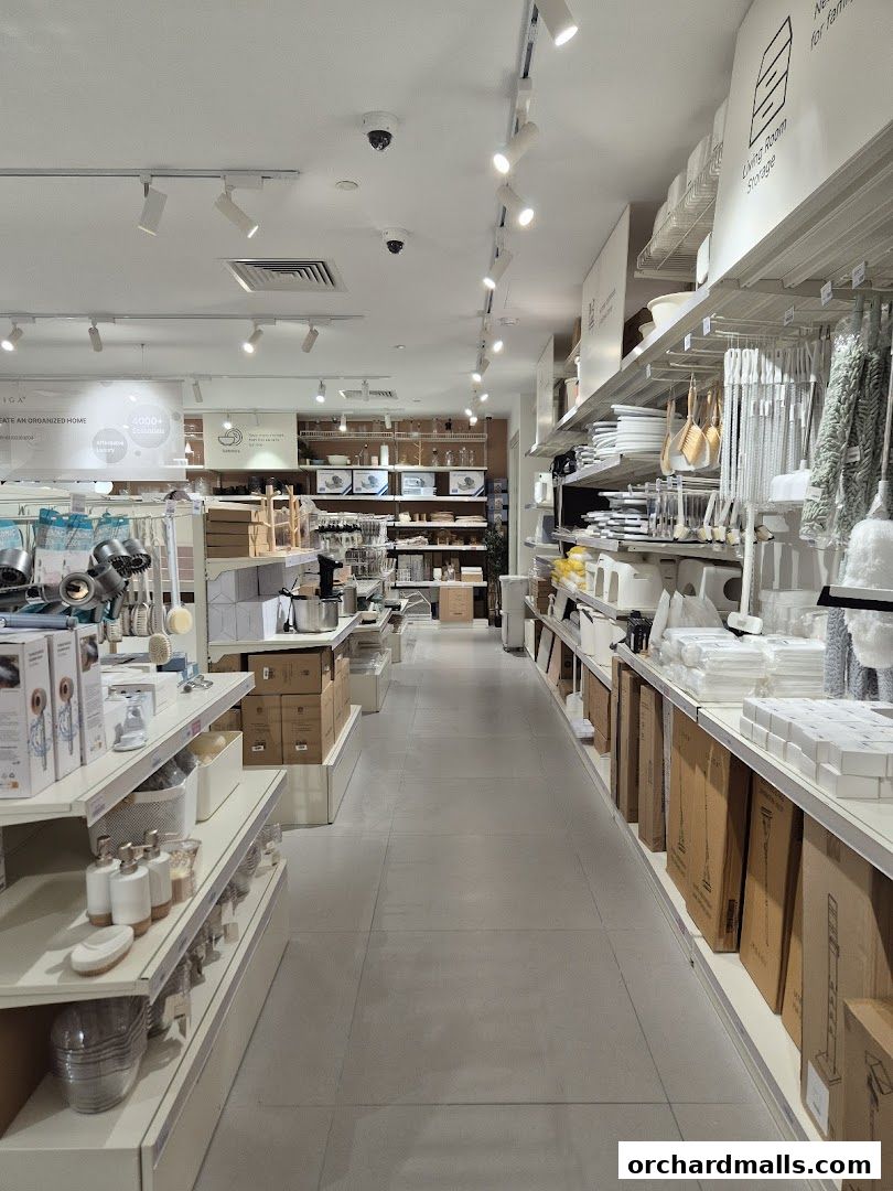 IUIGA The Cathay Flagship Store