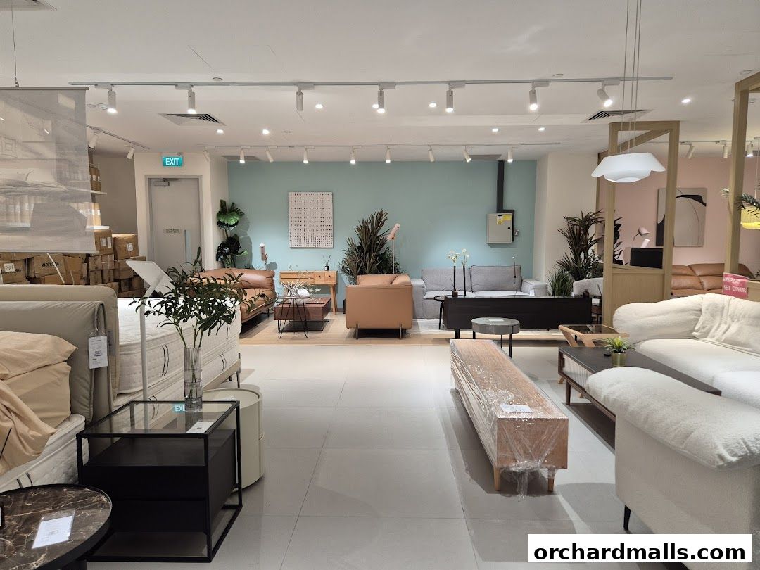 IUIGA The Cathay Flagship Store