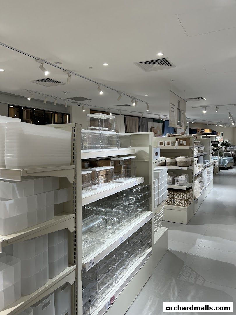 IUIGA The Cathay Flagship Store