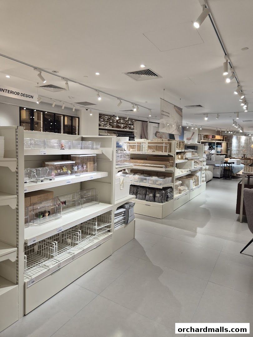 IUIGA The Cathay Flagship Store