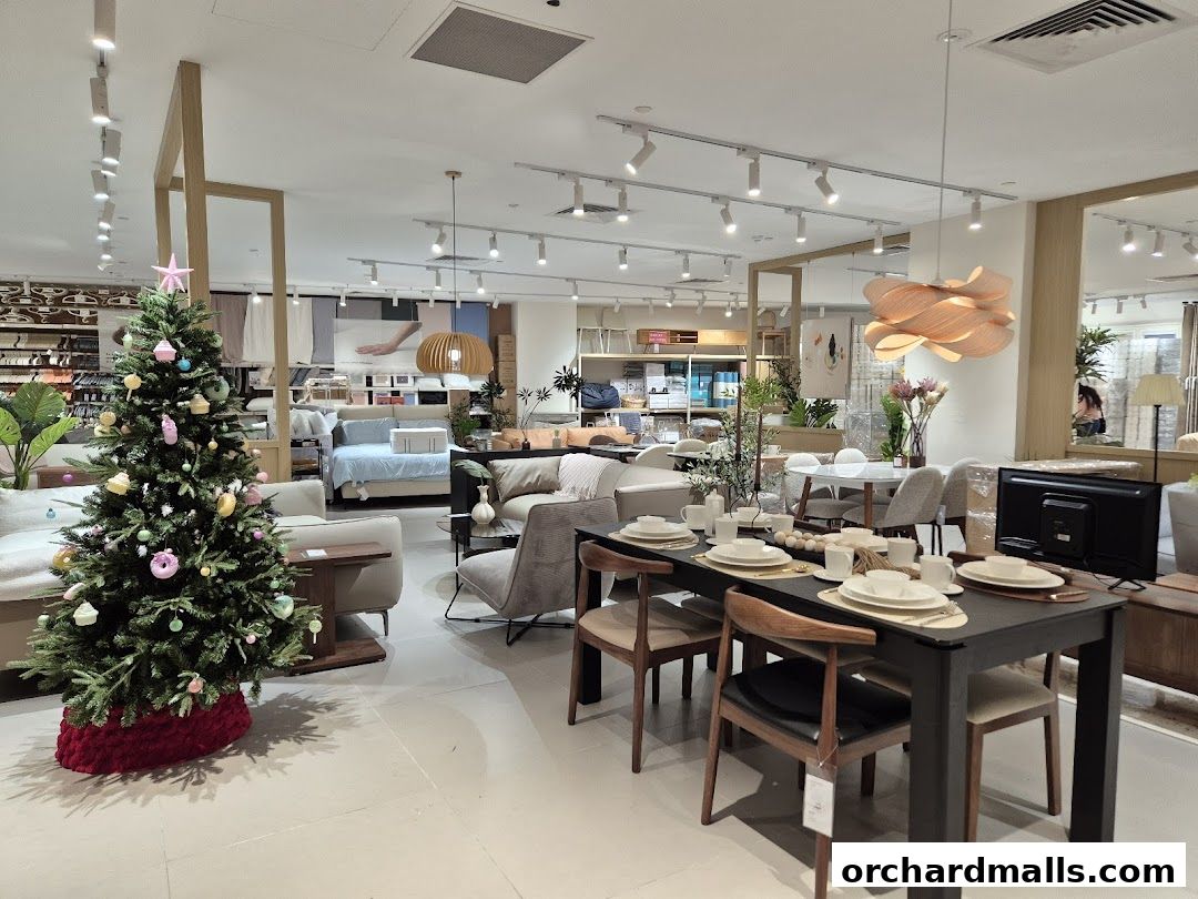 IUIGA The Cathay Flagship Store