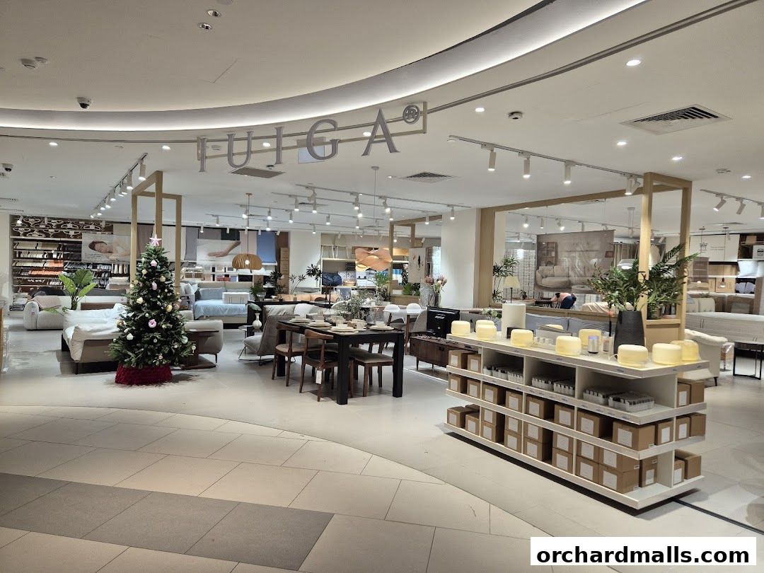 IUIGA The Cathay Flagship Store