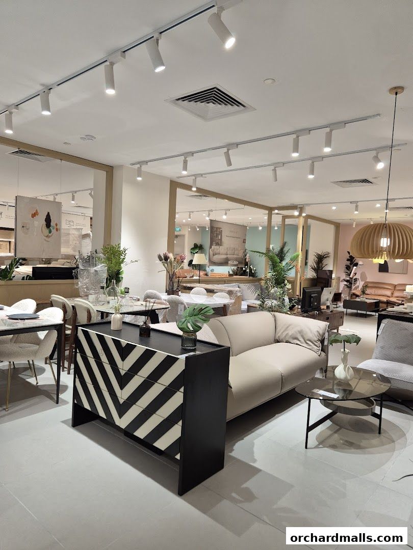 IUIGA The Cathay Flagship Store