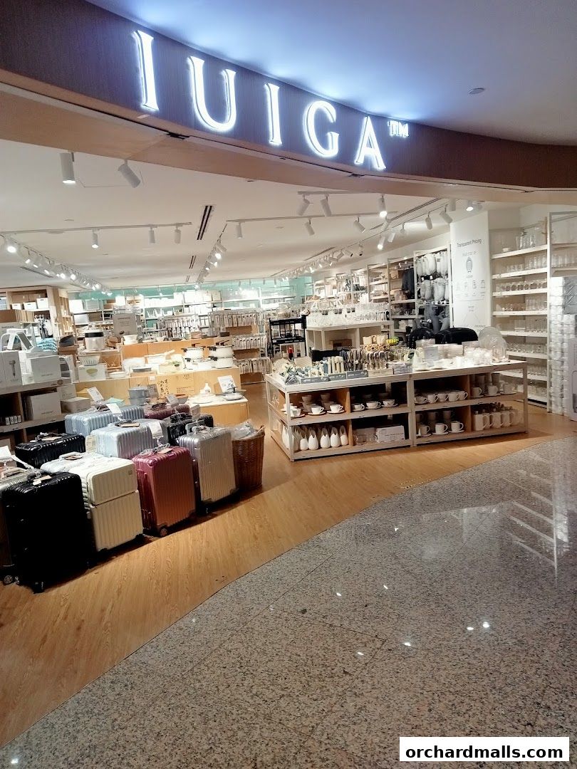 The entrance of the IUIGA store, showcasing luggage and home goods.