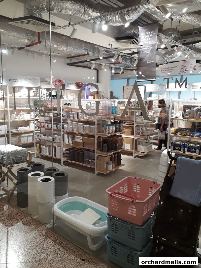 Interior view of a retail store showcasing home goods and storage solutions.