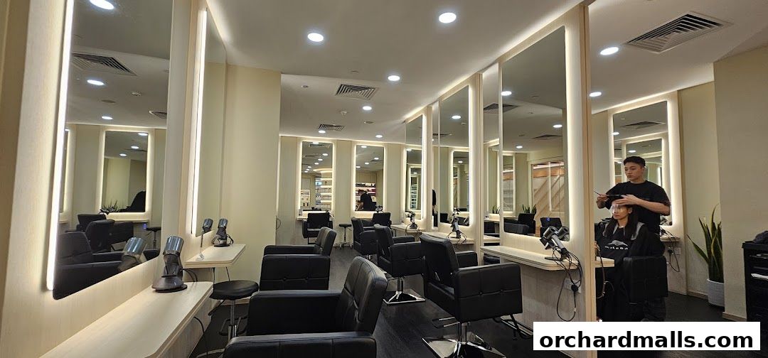 Ivan The Hair People