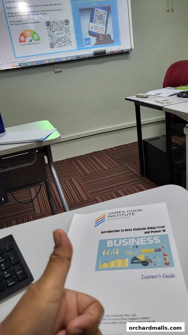 A learner's guide for data analysis using Excel and Power BI from James Cook Institute.