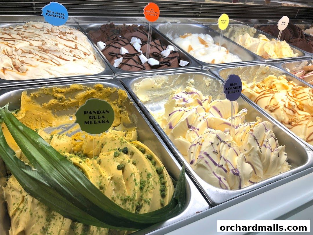 Janice Wong Chocolate  Desserts in Paragon  Singapore Delivery