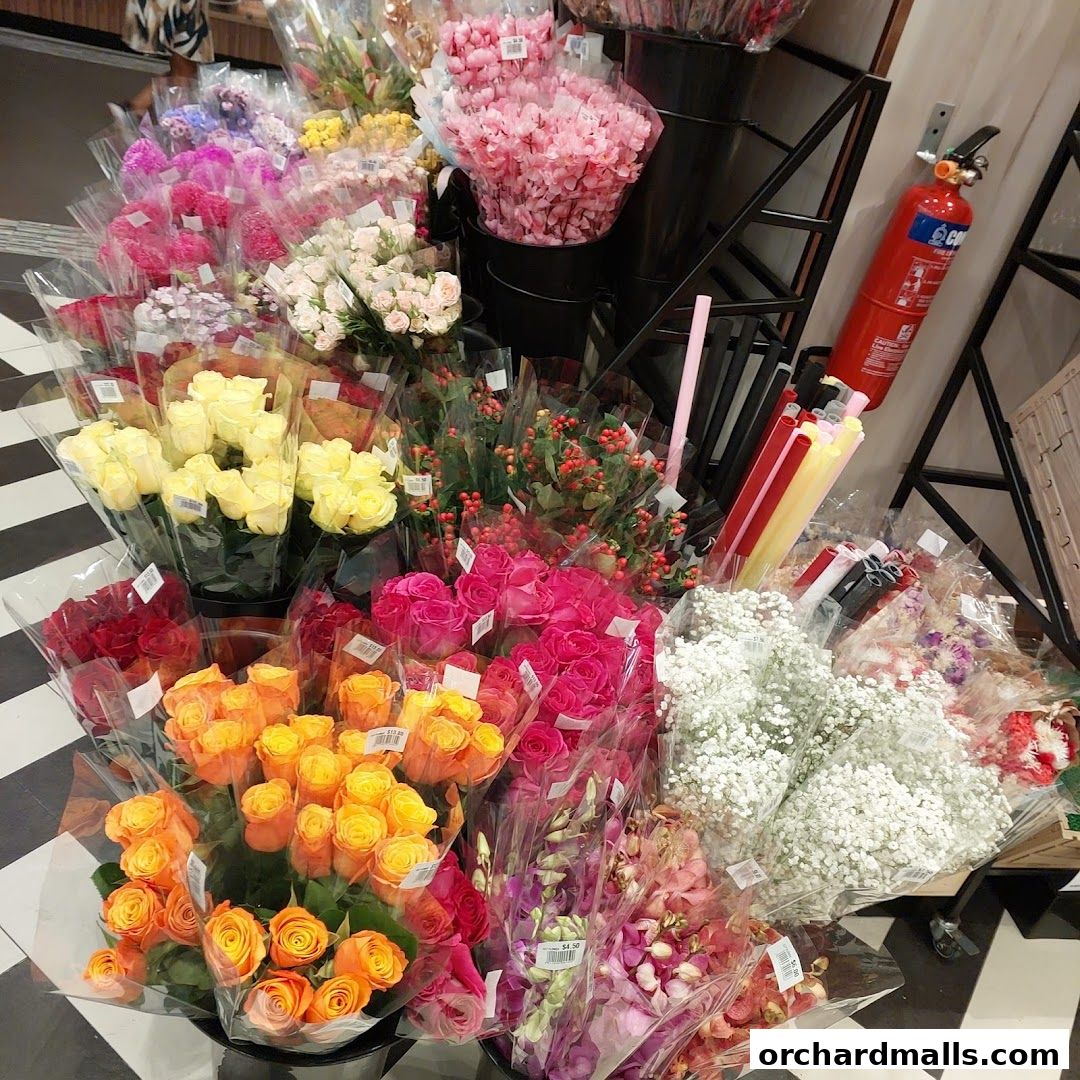 A vibrant display of fresh, colorful roses and other flowers in clear packaging.