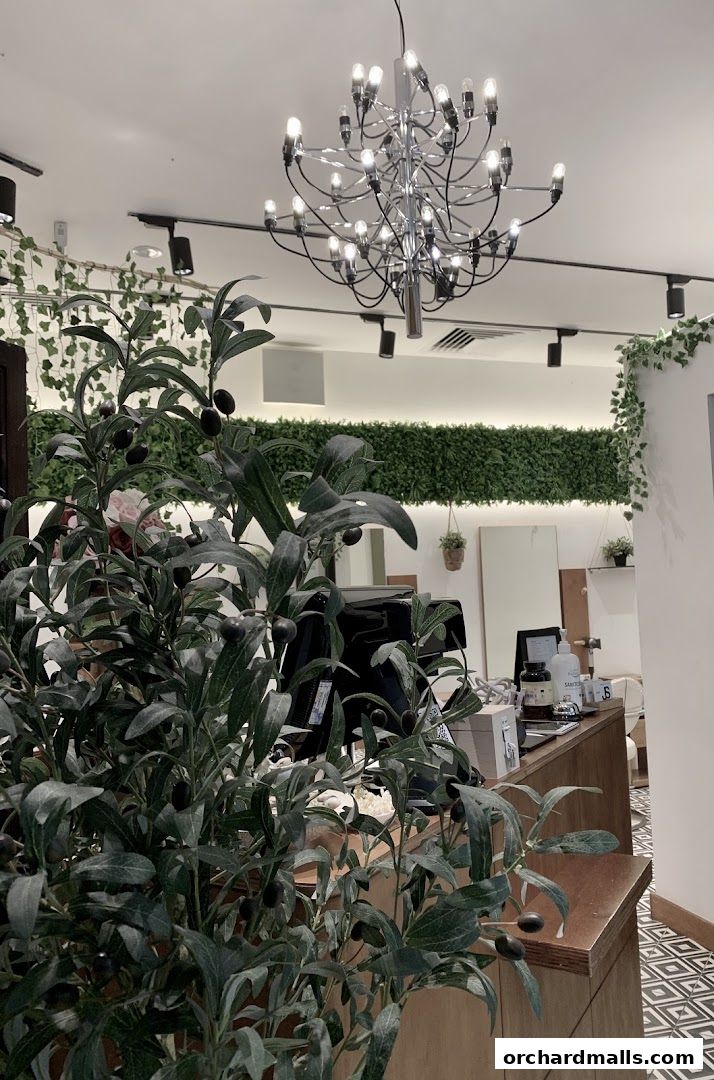 Interior of a salon with a reception desk, plants, and a chandelier.