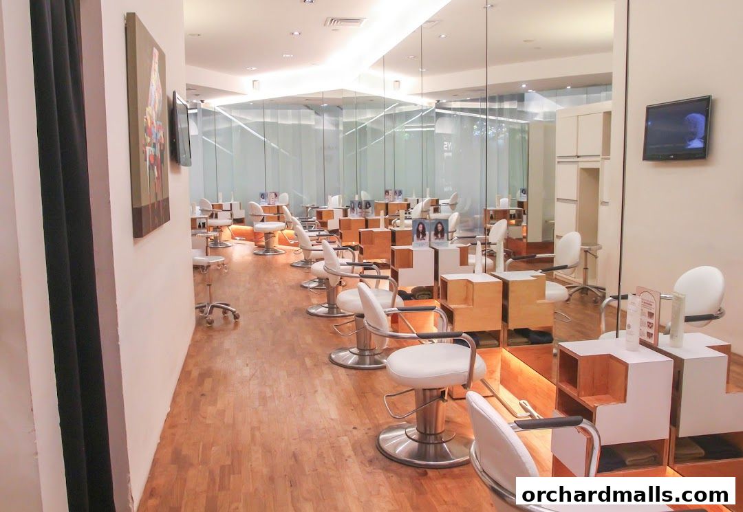 Interior of a modern salon with multiple styling chairs and mirrors.