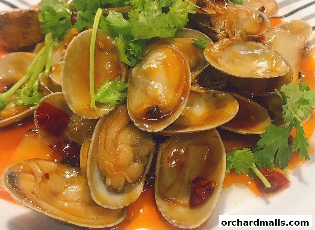 A close-up shot of a delicious dish of clams in a savory sauce, garnished with cilantro.