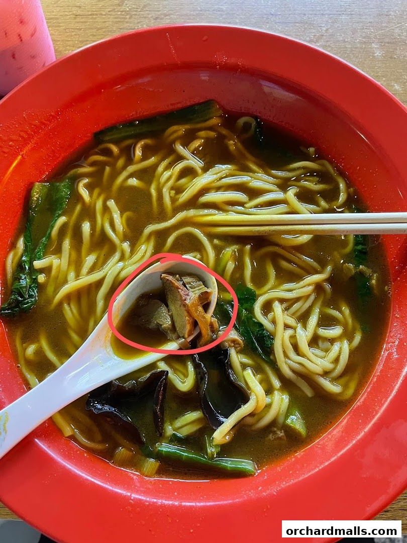 A close-up shot of a steaming bowl of noodles with meat and vegetables.