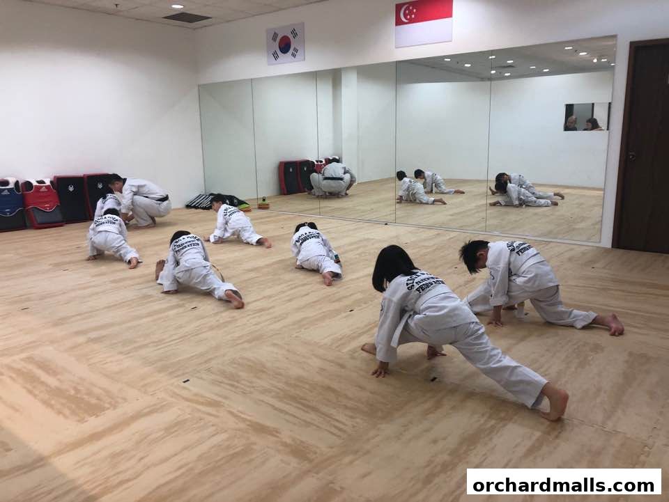 JM TAEKWONDO