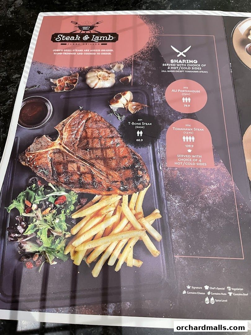 Menu page for Joshs Grill  313  Somerset