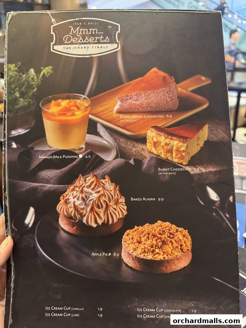 Menu page for Joshs Grill  313  Somerset