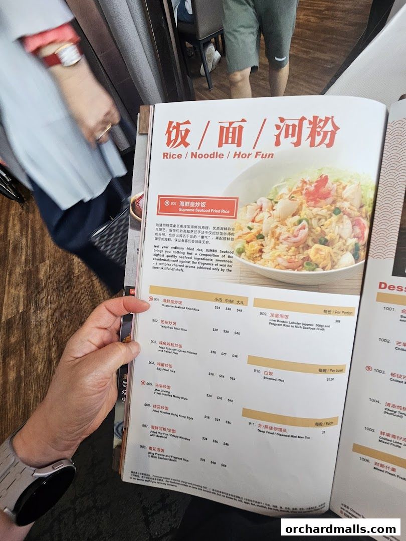 A person is holding a menu from JUMBO Seafood, showcasing various rice and noodle dishes.