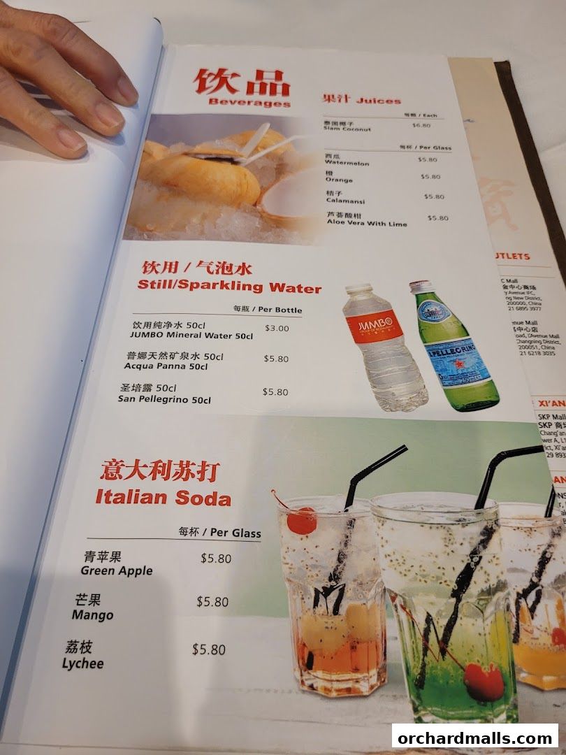 A menu page displaying beverages, juices, still/sparkling water, and Italian sodas with prices.