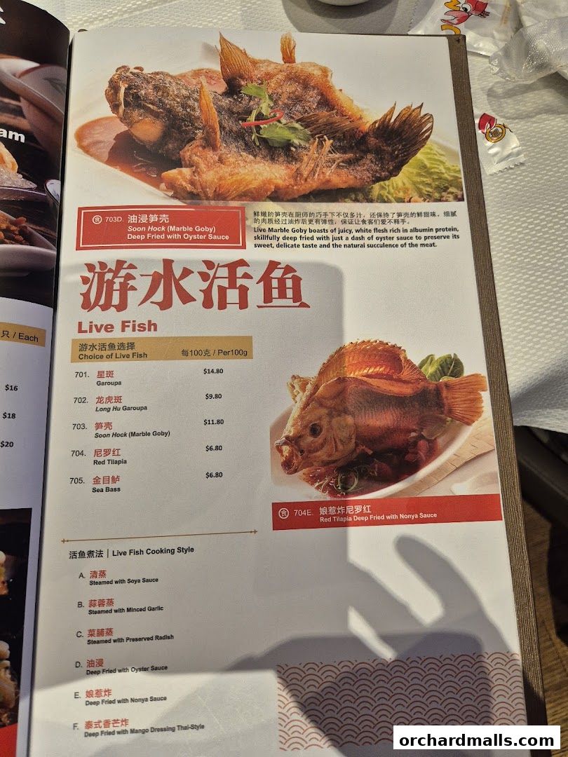A menu page from JUMBO Seafood featuring live fish dishes and cooking styles.