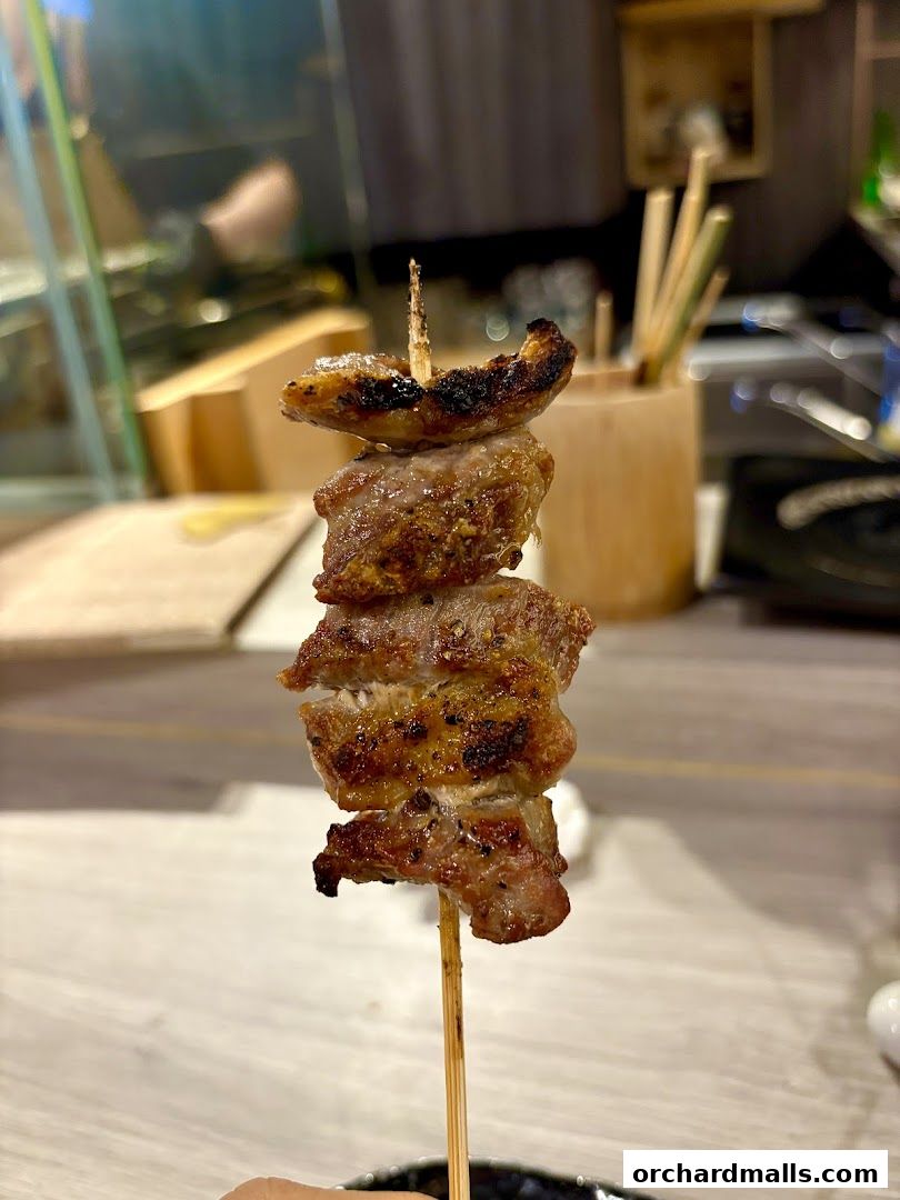 A close-up shot of a perfectly grilled yakitori skewer with succulent meat.