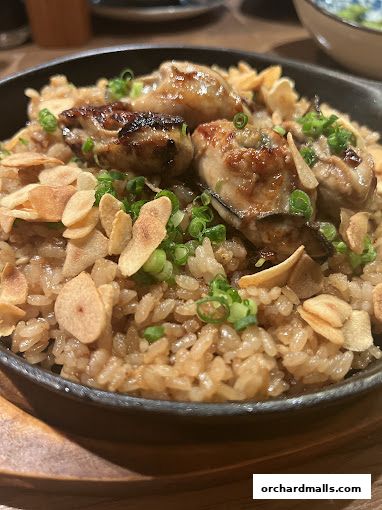 A close-up of a delicious oyster rice dish topped with fried garlic and green onions.