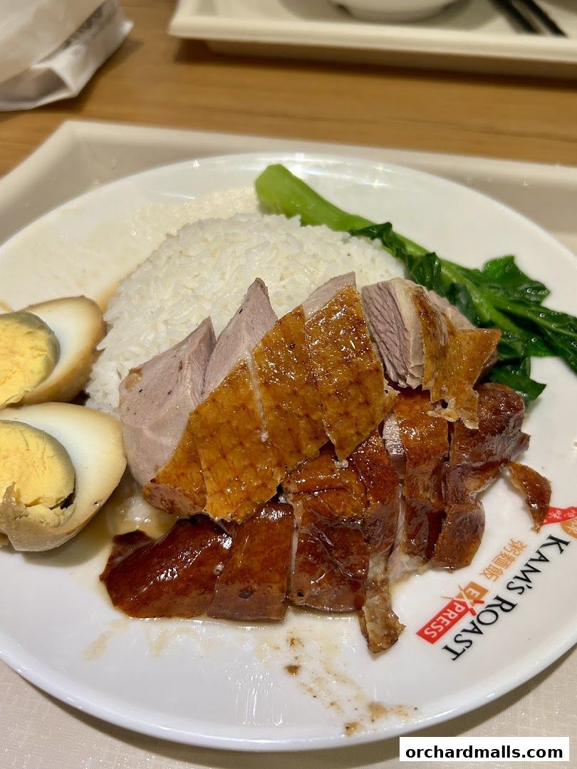 A plate of roasted duck with rice, vegetables, and a hard-boiled egg.