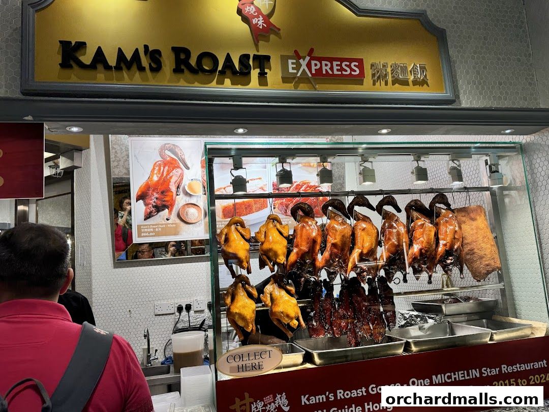 A display of roasted ducks and geese hanging in a shop window, with the shop name visible.