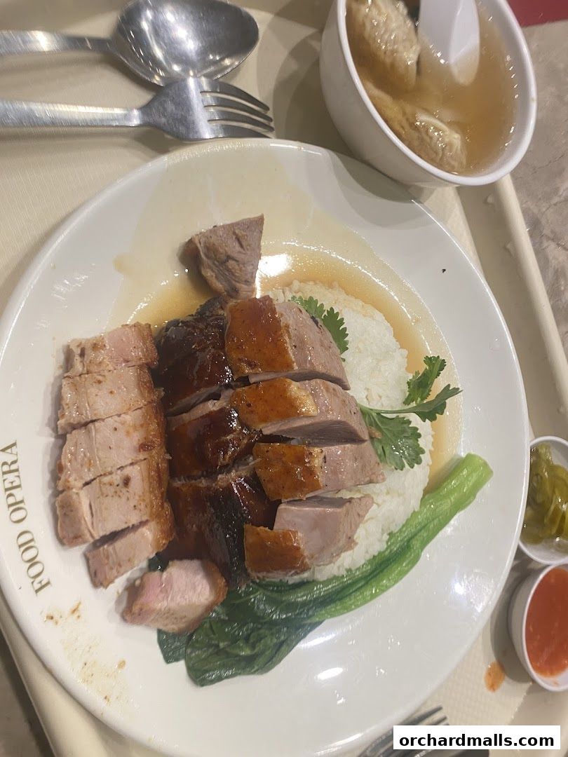 A plate of roasted duck and char siu with rice and vegetables, served with soup and condiments.