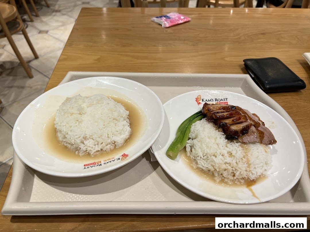 A plate of roasted duck with rice and a side of greens, served on a tray.
