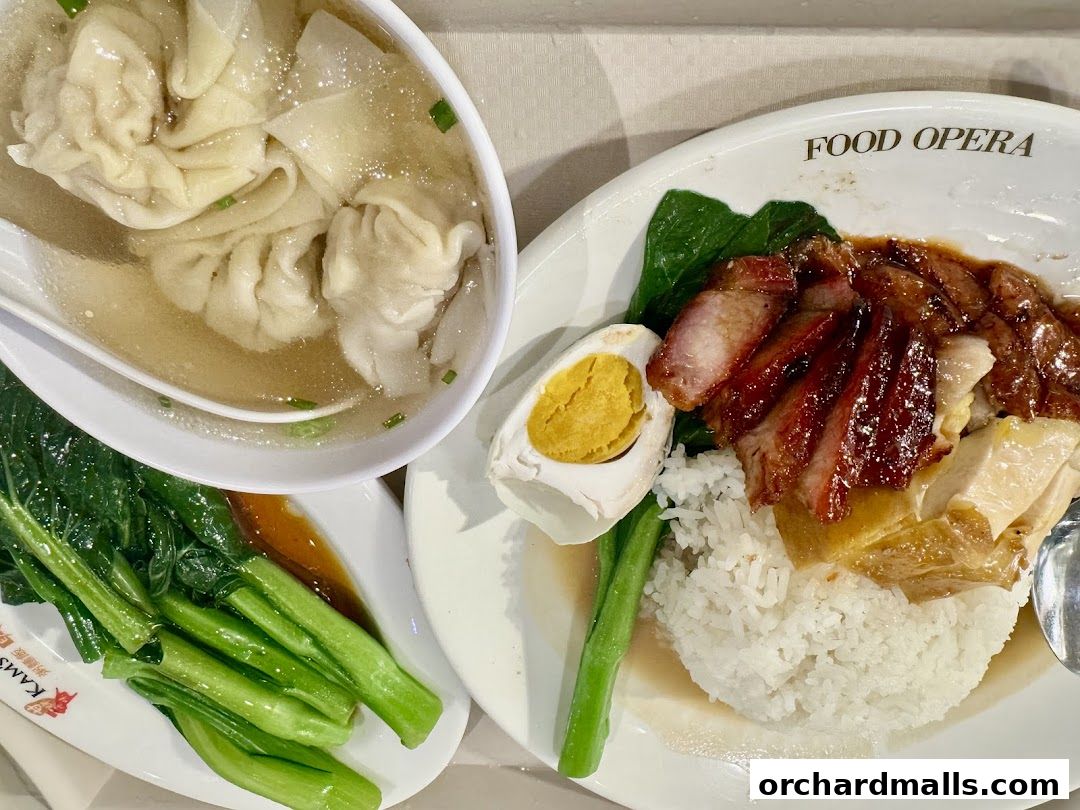 A delicious meal featuring roasted meats, wonton soup, and blanched vegetables.