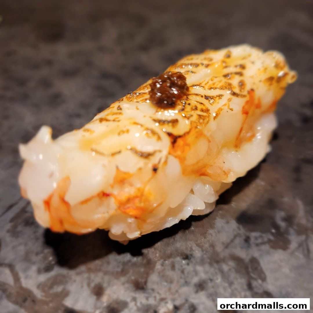 A close-up of a delicious-looking sushi piece with seared toppings and a dark sauce.