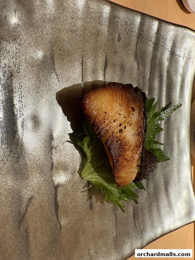 A perfectly grilled piece of fish served on a bed of fresh greens.