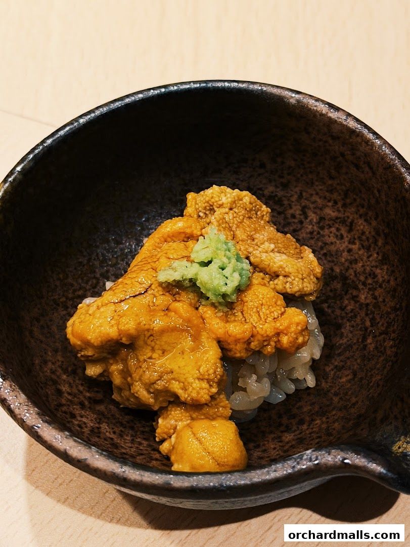 A close-up of a bowl of uni (sea urchin) served over rice with wasabi.