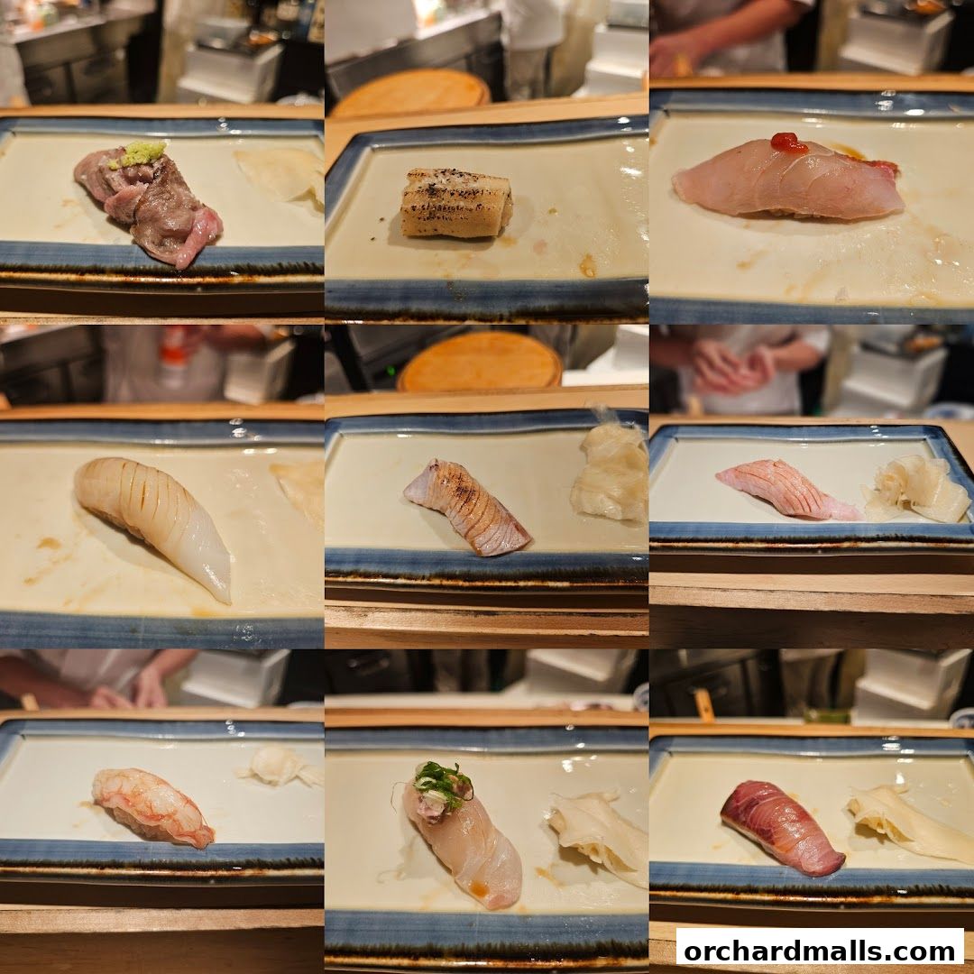 A collage of various sushi dishes served on white plates with blue trim.
