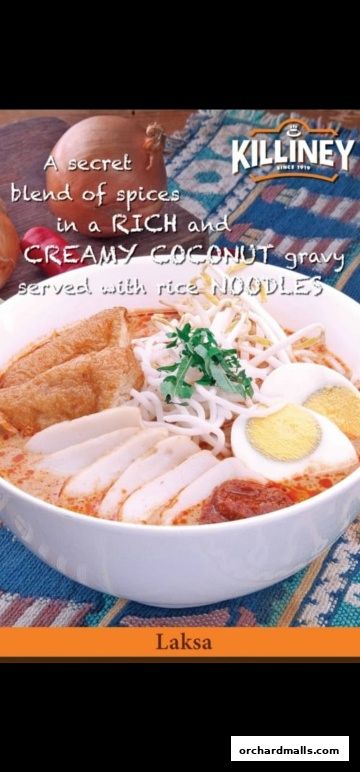 A bowl of Laksa with rich coconut gravy, noodles, egg, and tofu.