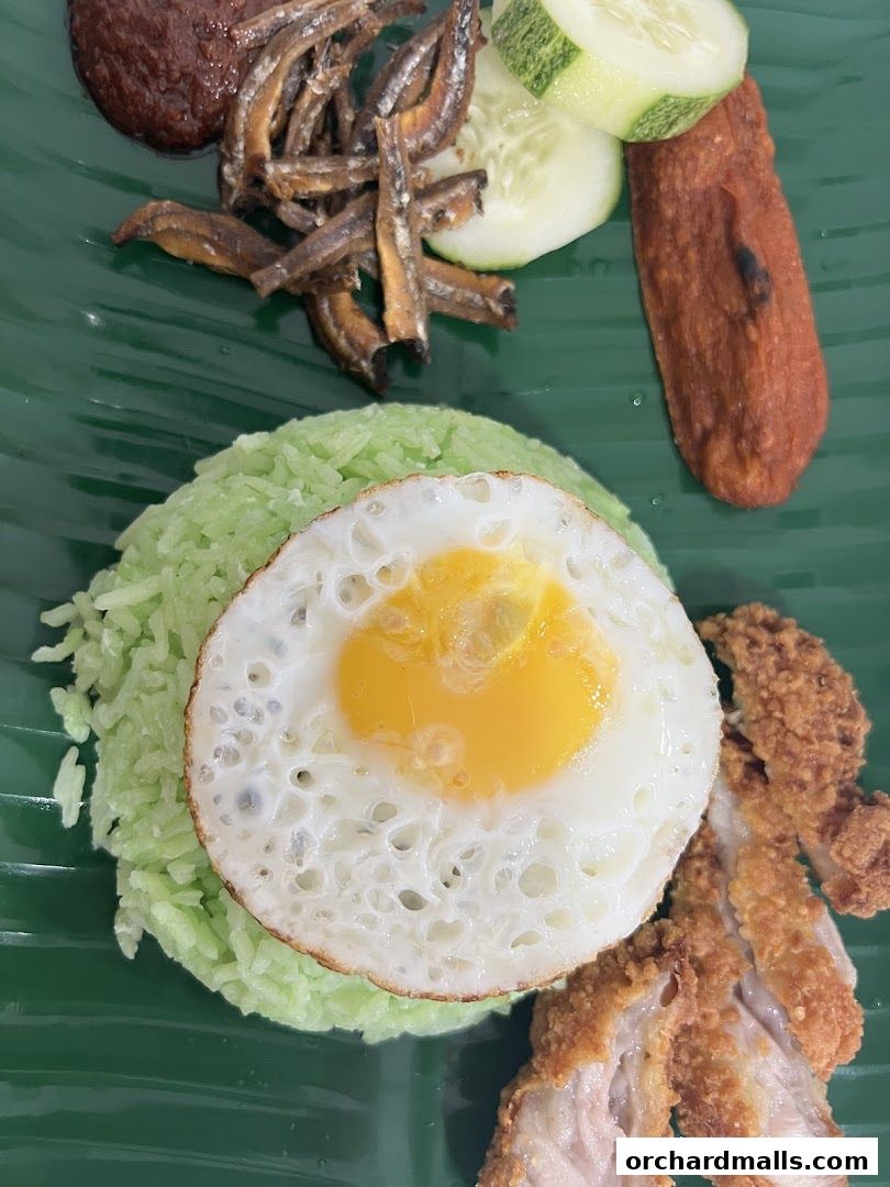 A close-up of a delicious Nasi Lemak dish with fried chicken, egg, and anchovies.