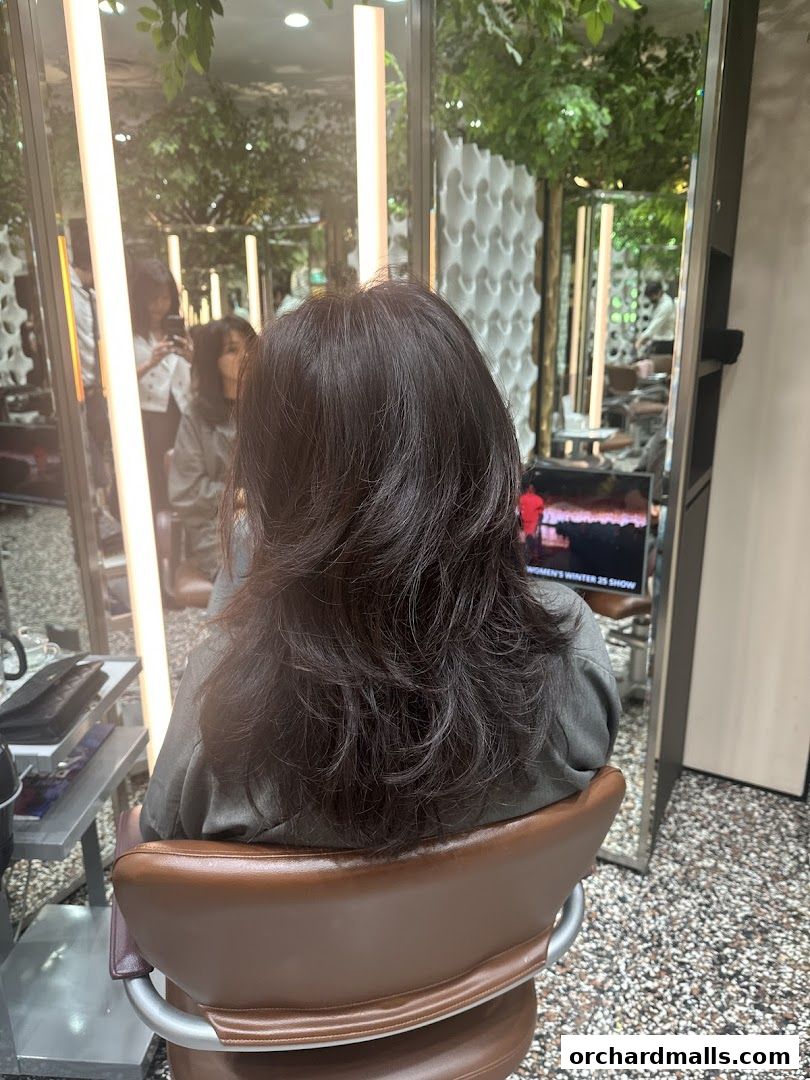 A person's back with layered dark hair sits in a salon chair, reflected in mirrors.