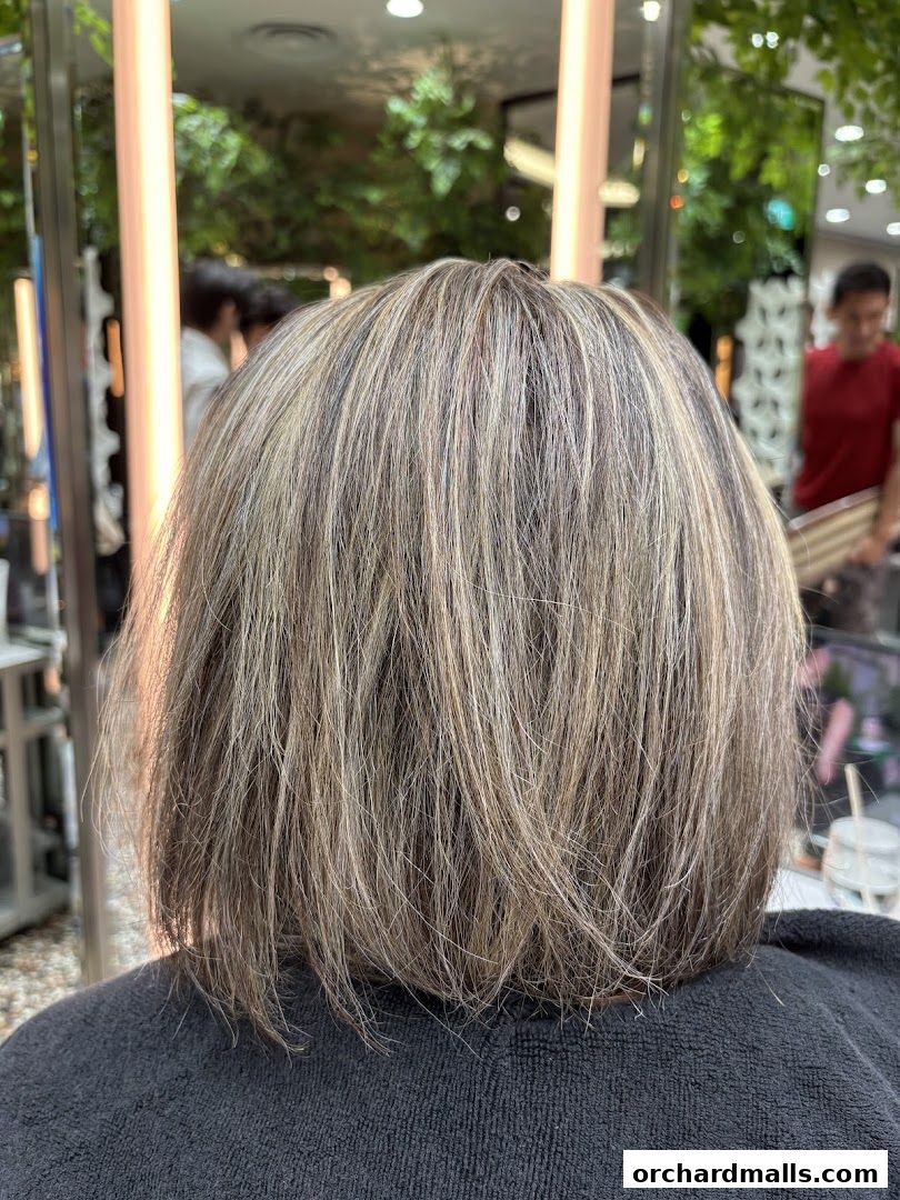 A person's back with freshly styled, highlighted bob haircut in a salon.