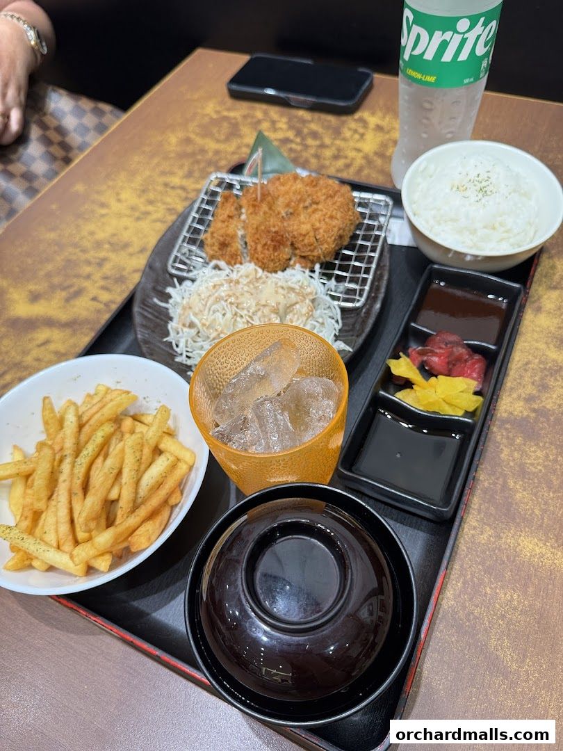 A delicious meal set featuring crispy katsu, rice, fries, and a drink.