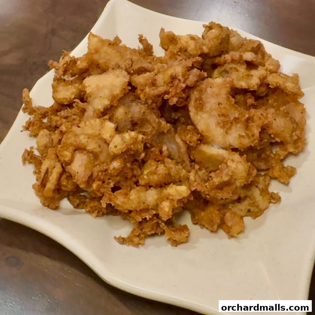 A plate of crispy fried calamari served at Korat Thai Cafe.