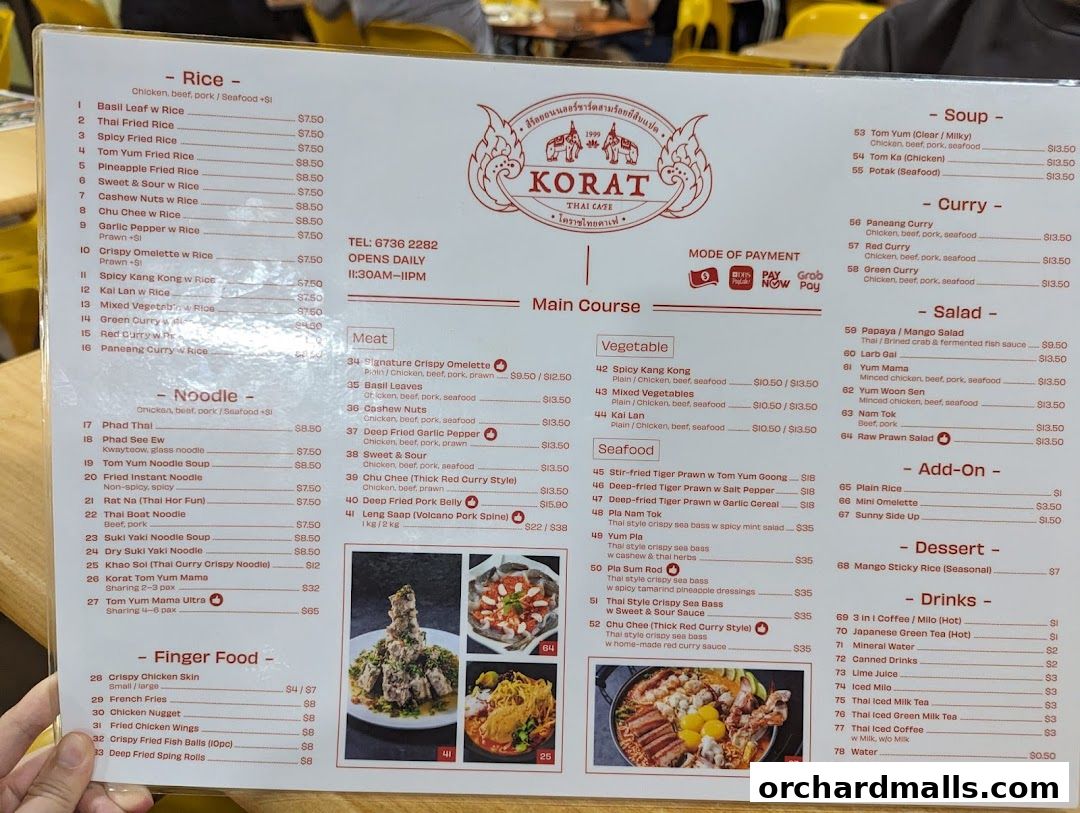 A menu for Korat Thai Cafe with sections for rice, noodles, meat, seafood, soup, curry, salad, add-ons, dessert, and drinks.