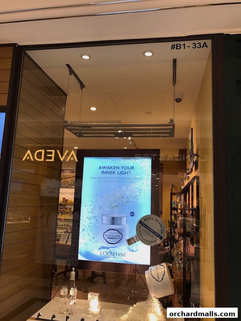 L'Occitane shop window display featuring a whitening rich cream and other beauty products.