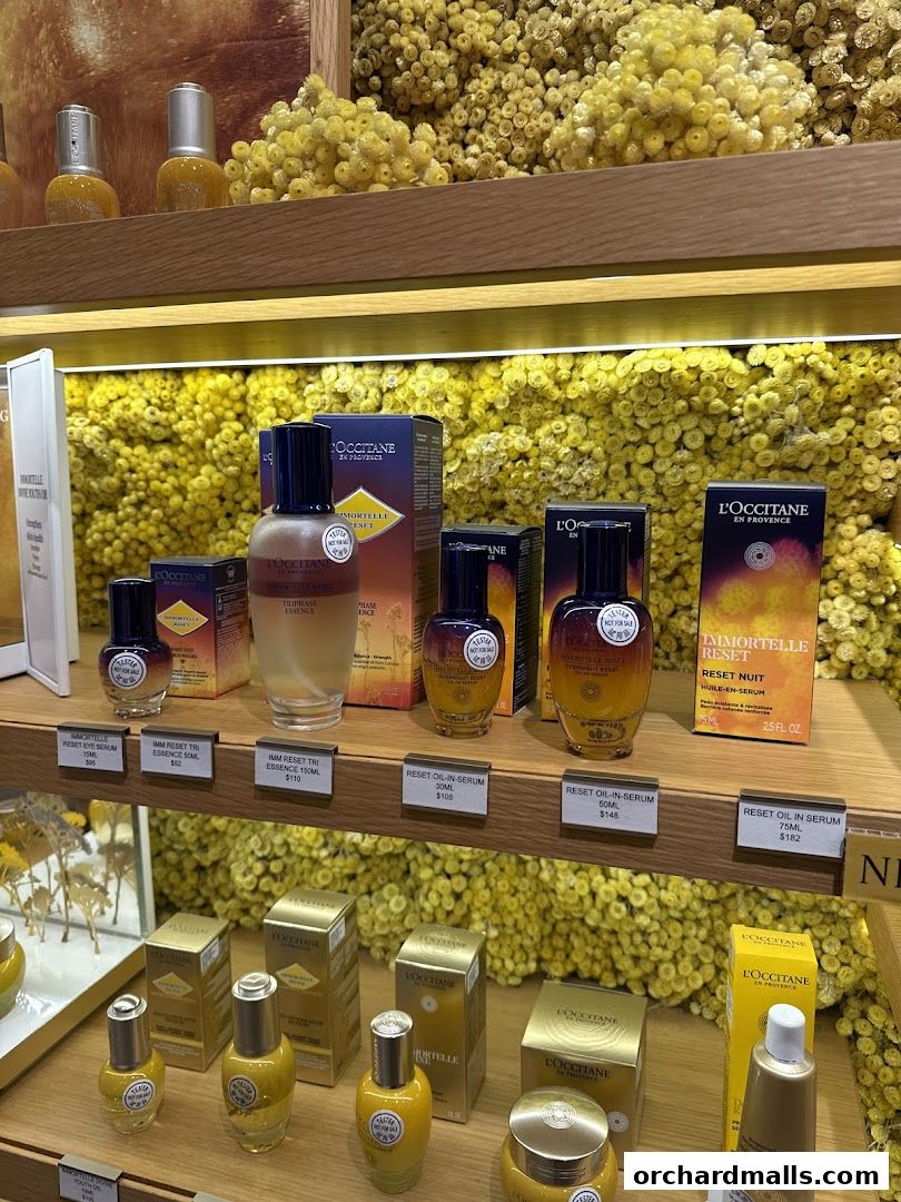 L'Occitane shop display featuring Immortelle Reset skincare products and decorative dried flowers.